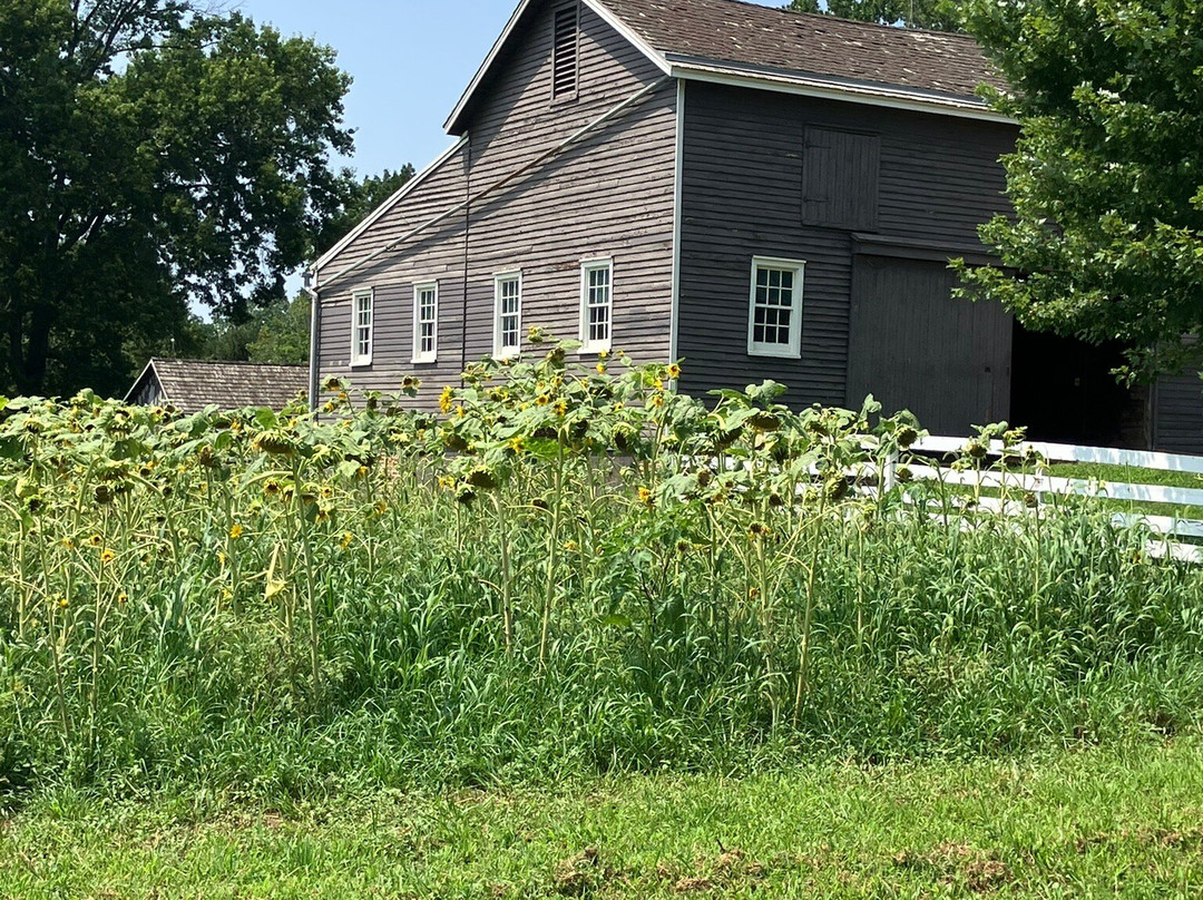 Holmdel Park-Holmdel必去景点