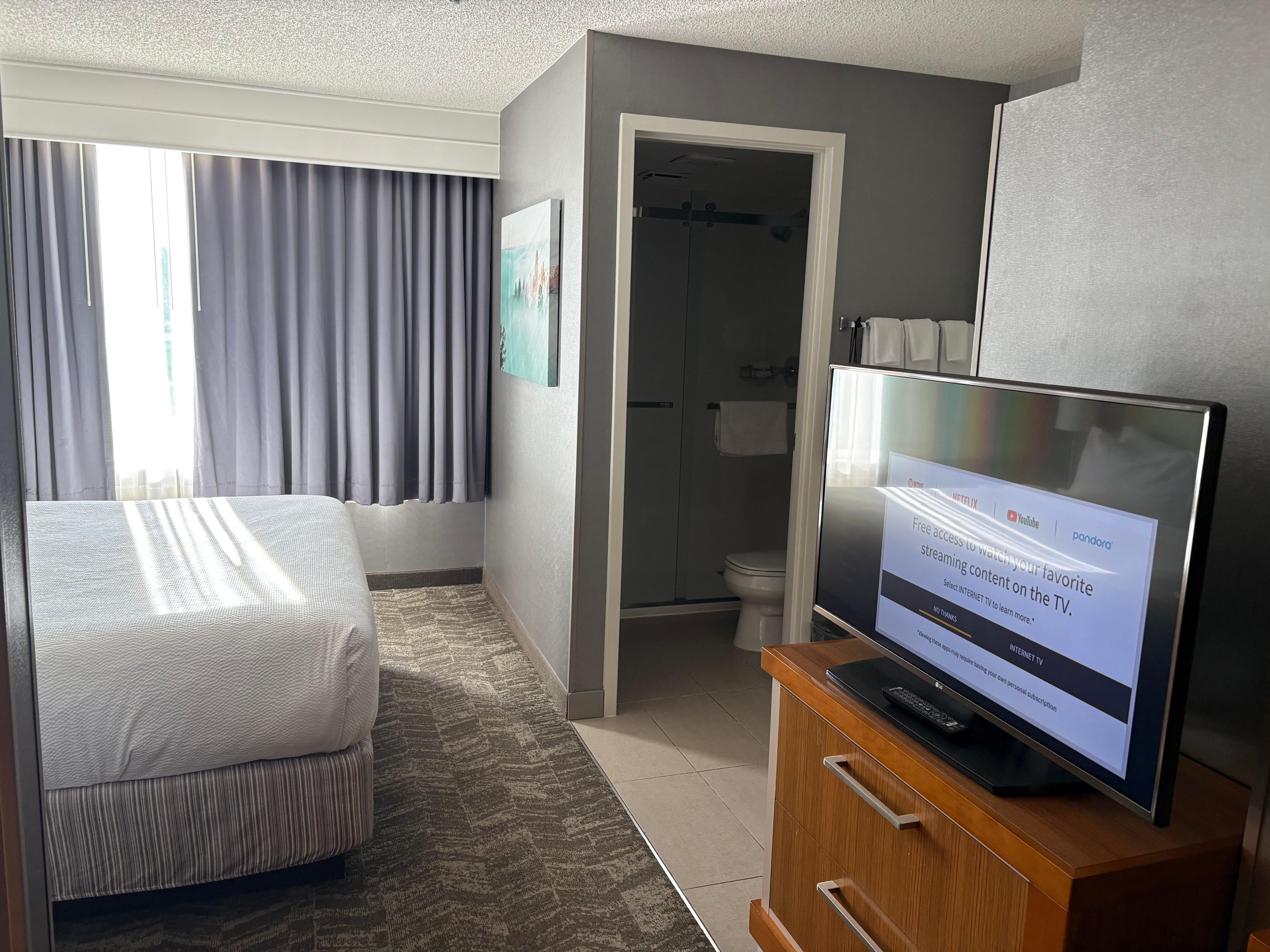 SpringHill Suites by Marriott Boise ParkCenter-客卧