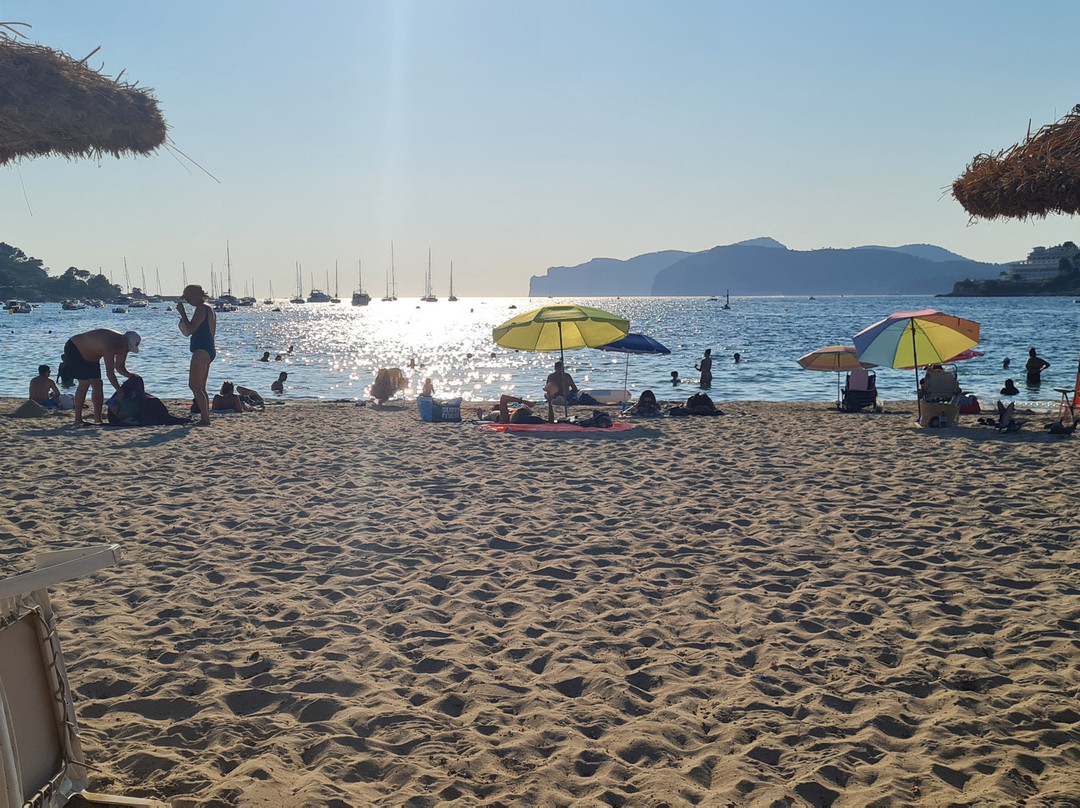 Playa Santa Ponça-圣庞沙必去景点