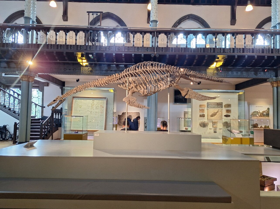 Hunterian Museum-格拉斯哥必去景点