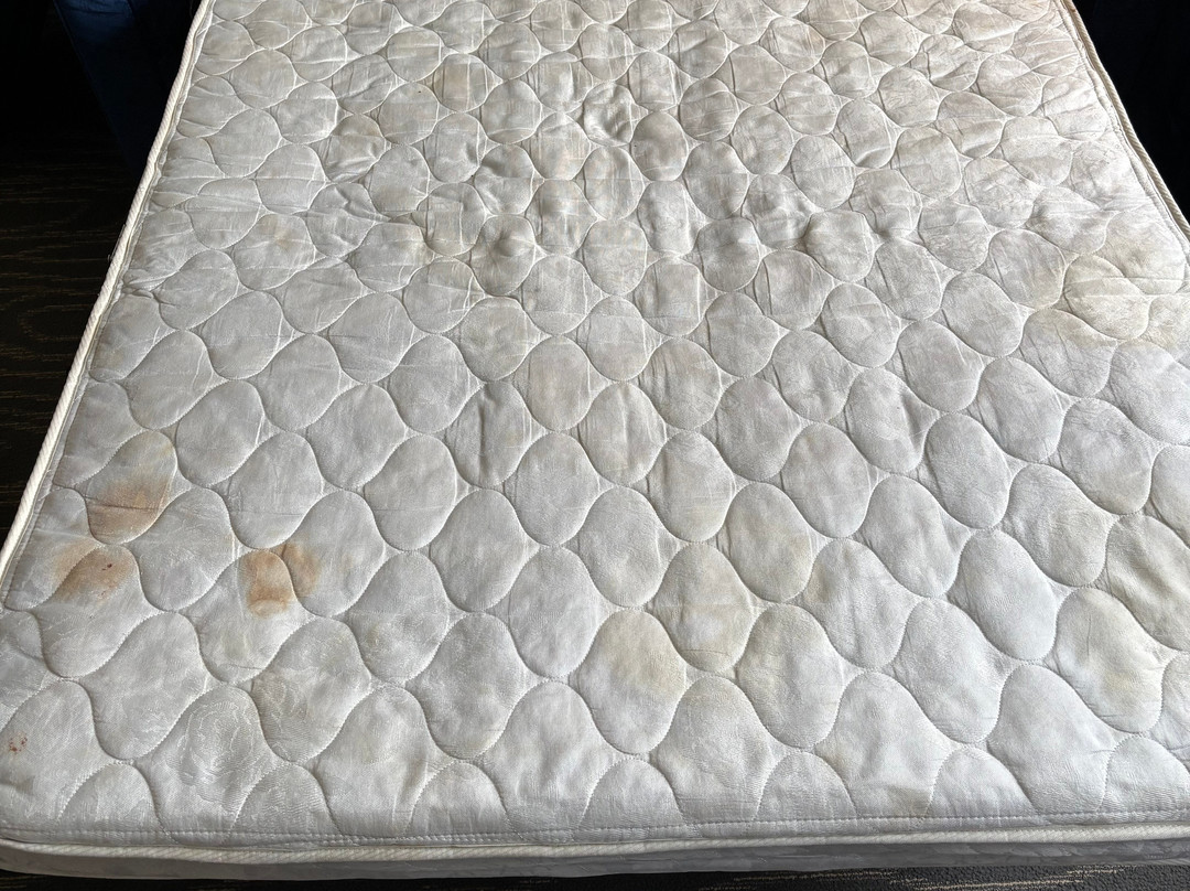 梅多兰兹锡考克斯拉金塔套房酒店主图