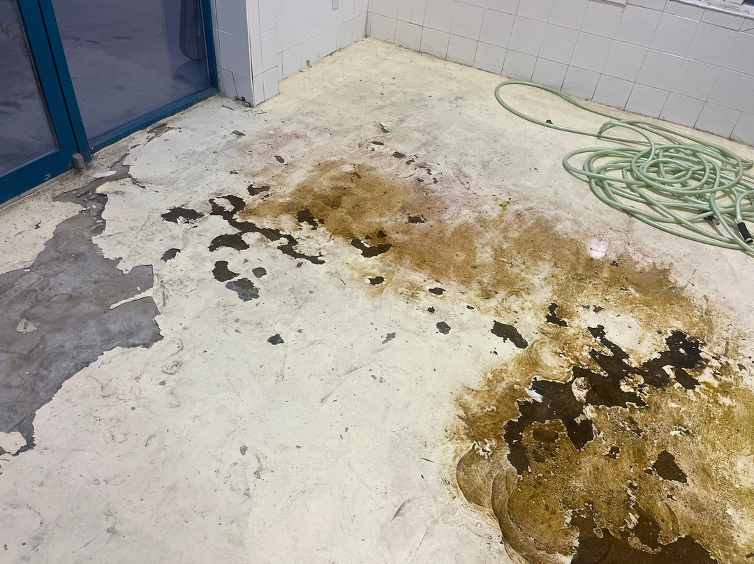 Ramada Limited Merritt主图