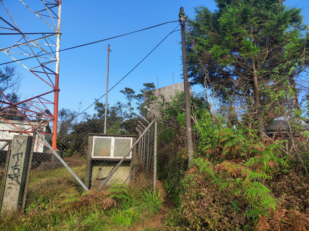 Single Tree Hill-奴娃拉伊利雅必去景点