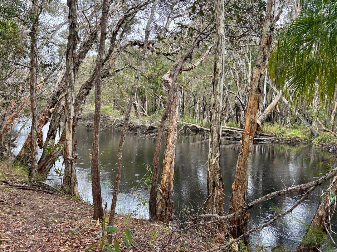 Moondoggie Beach & Bush Tours-Agnes Water必去景点
