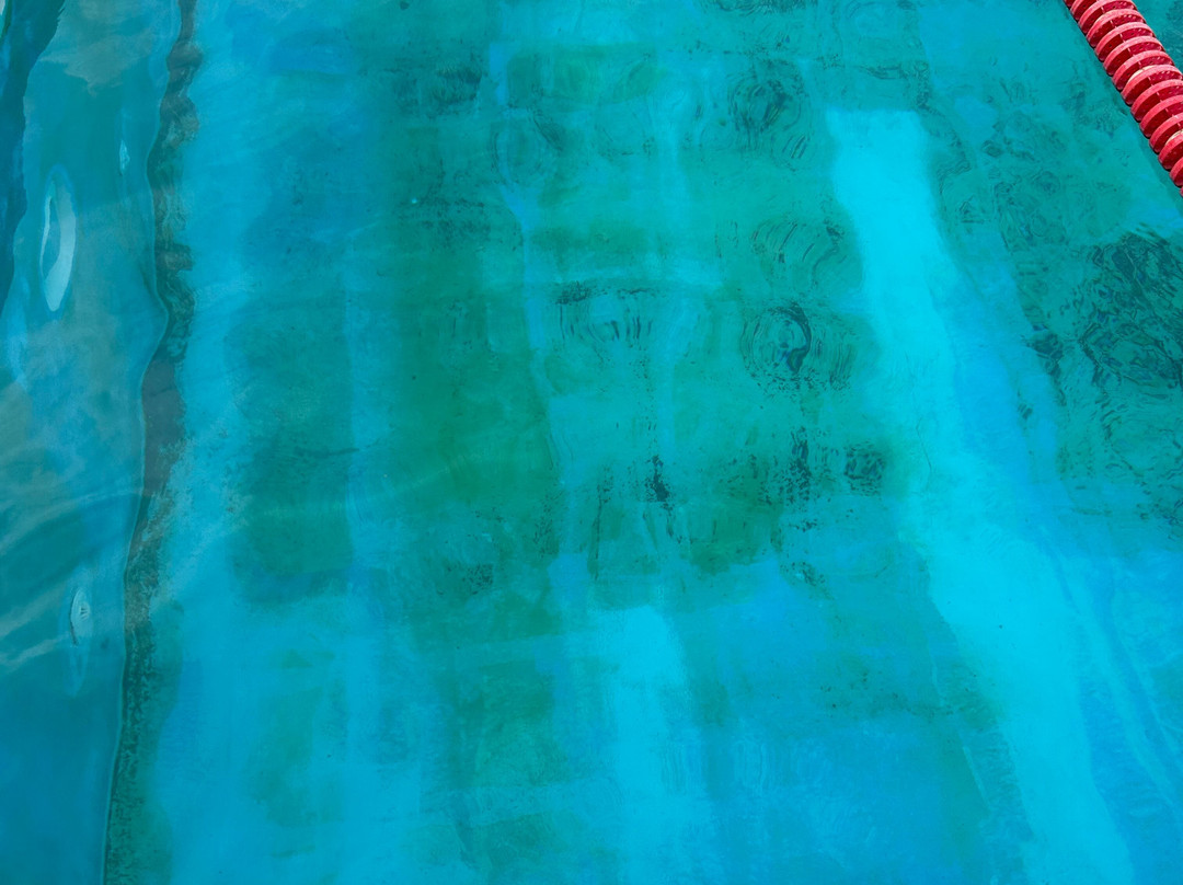 Saltdean Lido-布莱顿必去景点