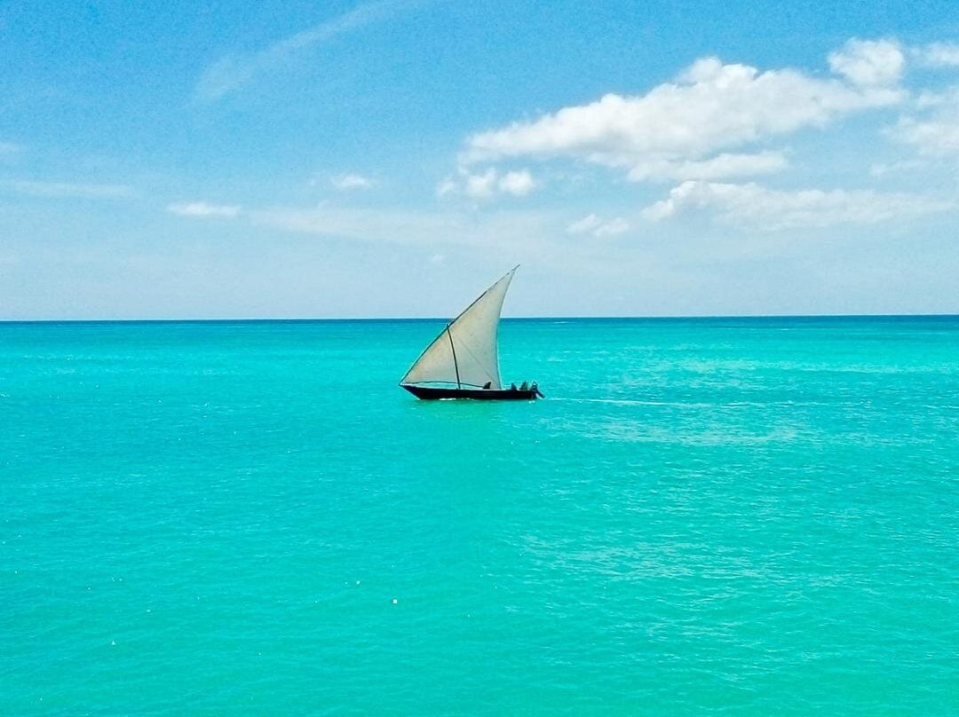 Escape To Tanzania Trekking & Safaris-莫西必去景点