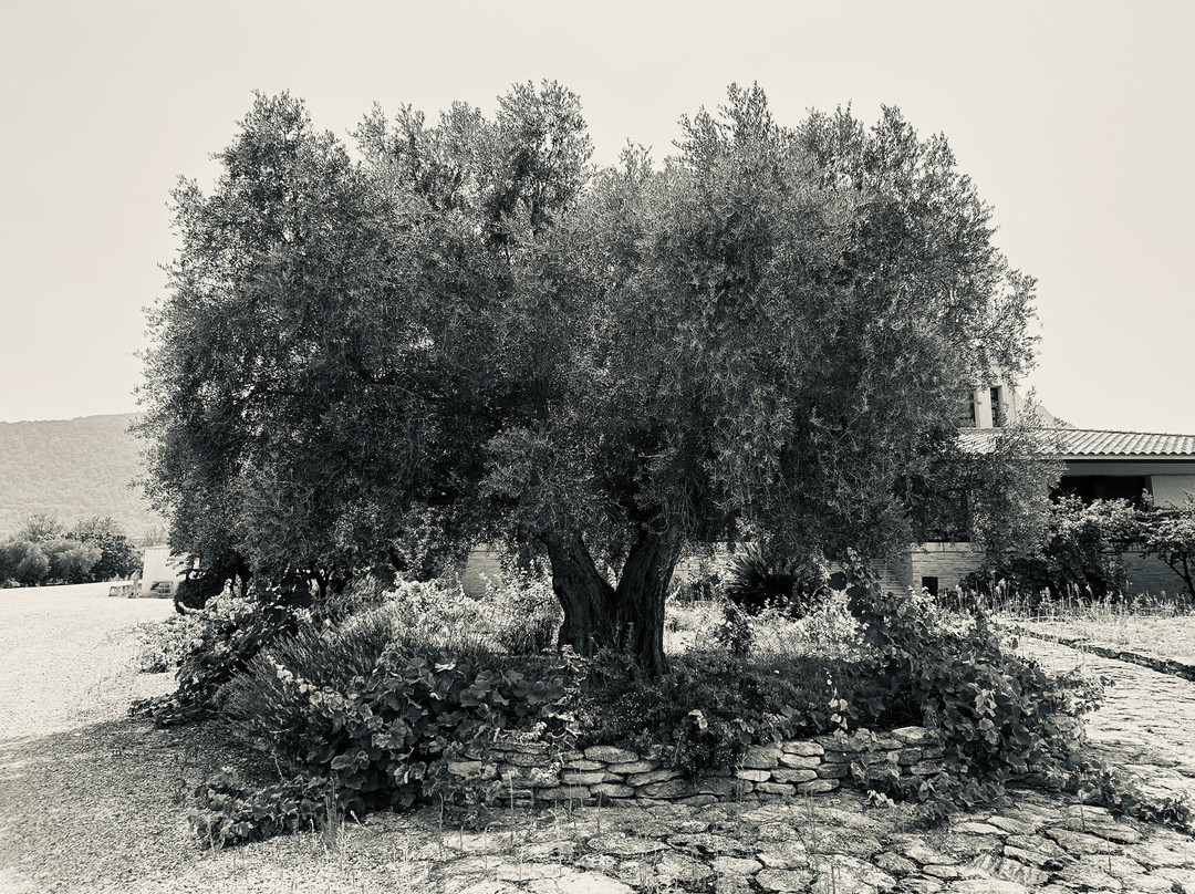 Museo del Vino Hacienda del Carche - Casa de la Ermita-Jumilla必去景点
