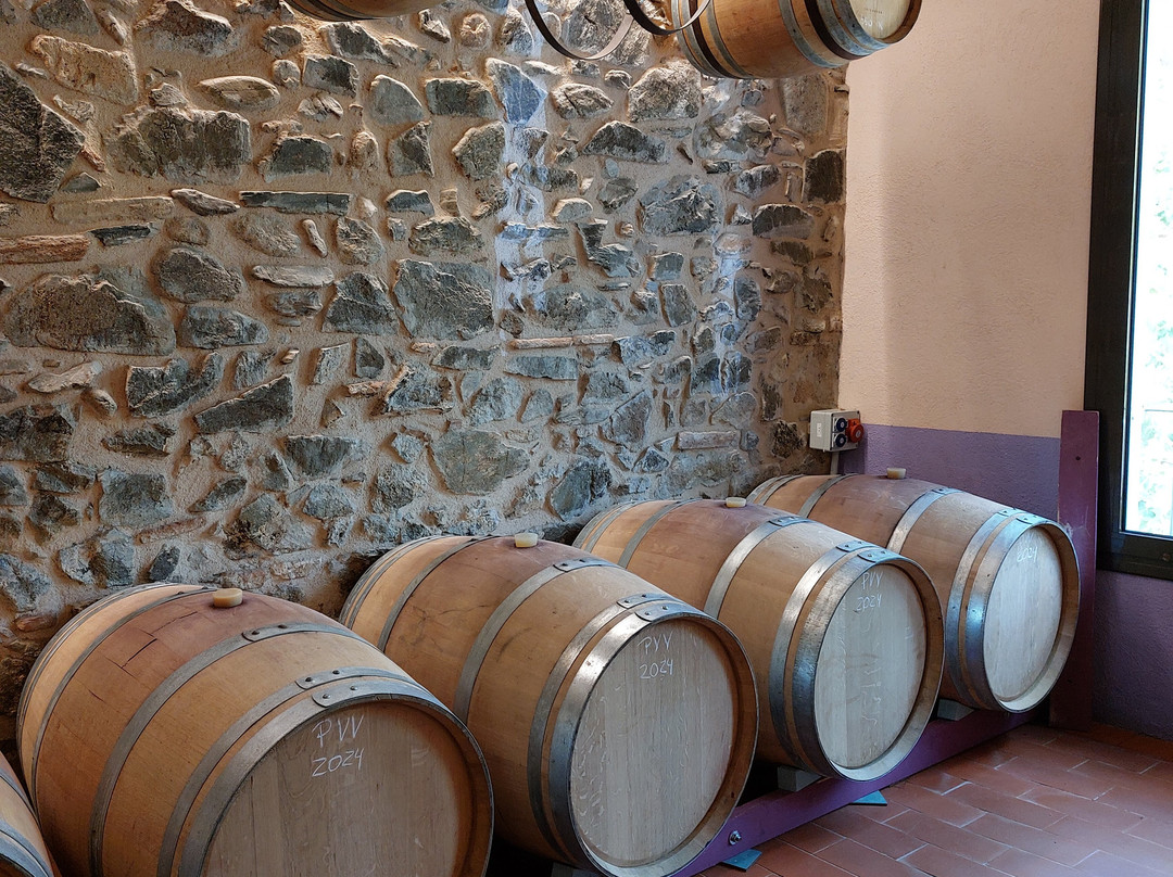 ALVAREZ DURAN PRIORAT-Porrera必去景点