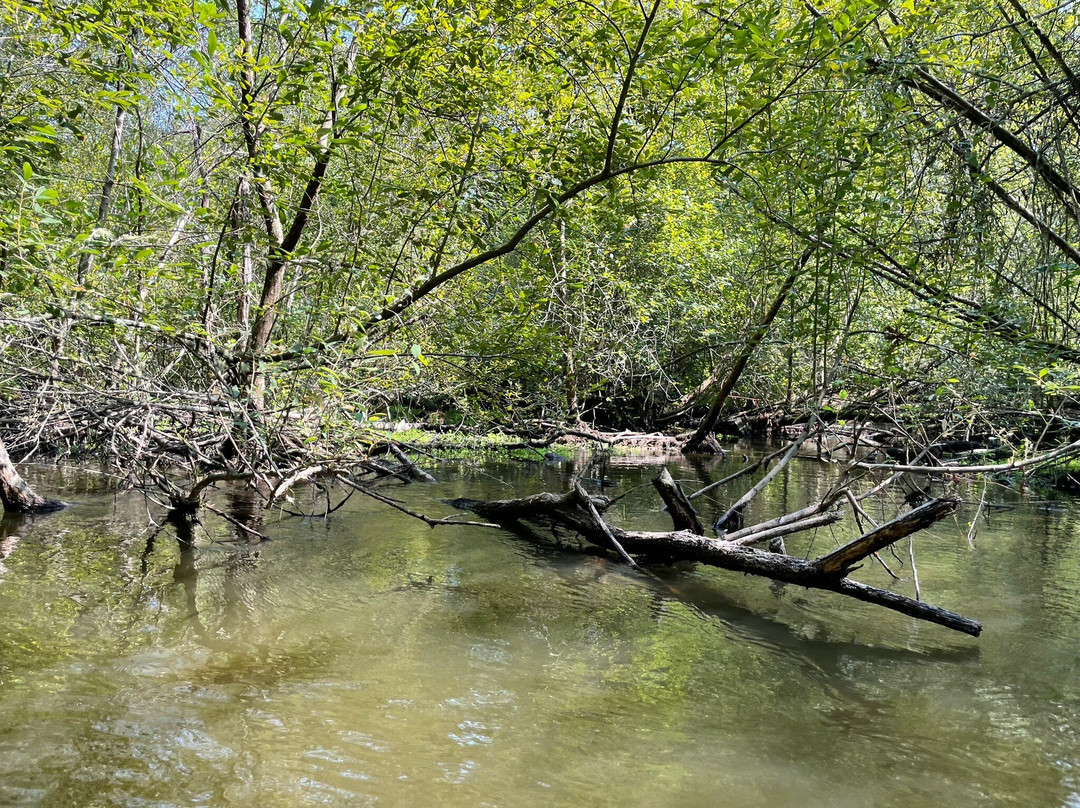 Les Bâteliers Du Courant D'huchet-Leon必去景点