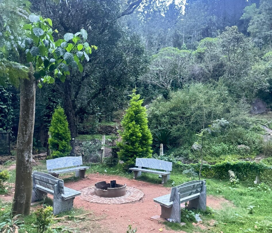 Seattle Garden主图