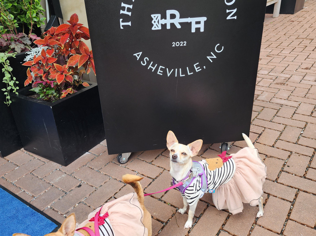 The Restoration Asheville主图