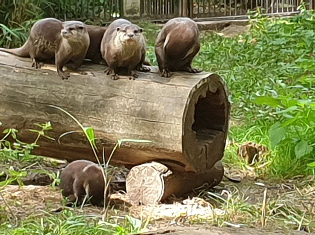 Tierpark Cottbus-Cottbus必去景点