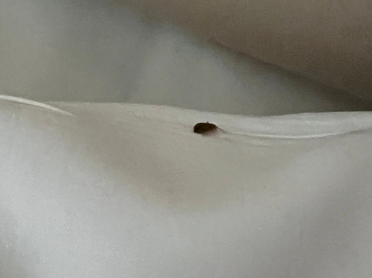 Great Polonia Kraków Old Town主图