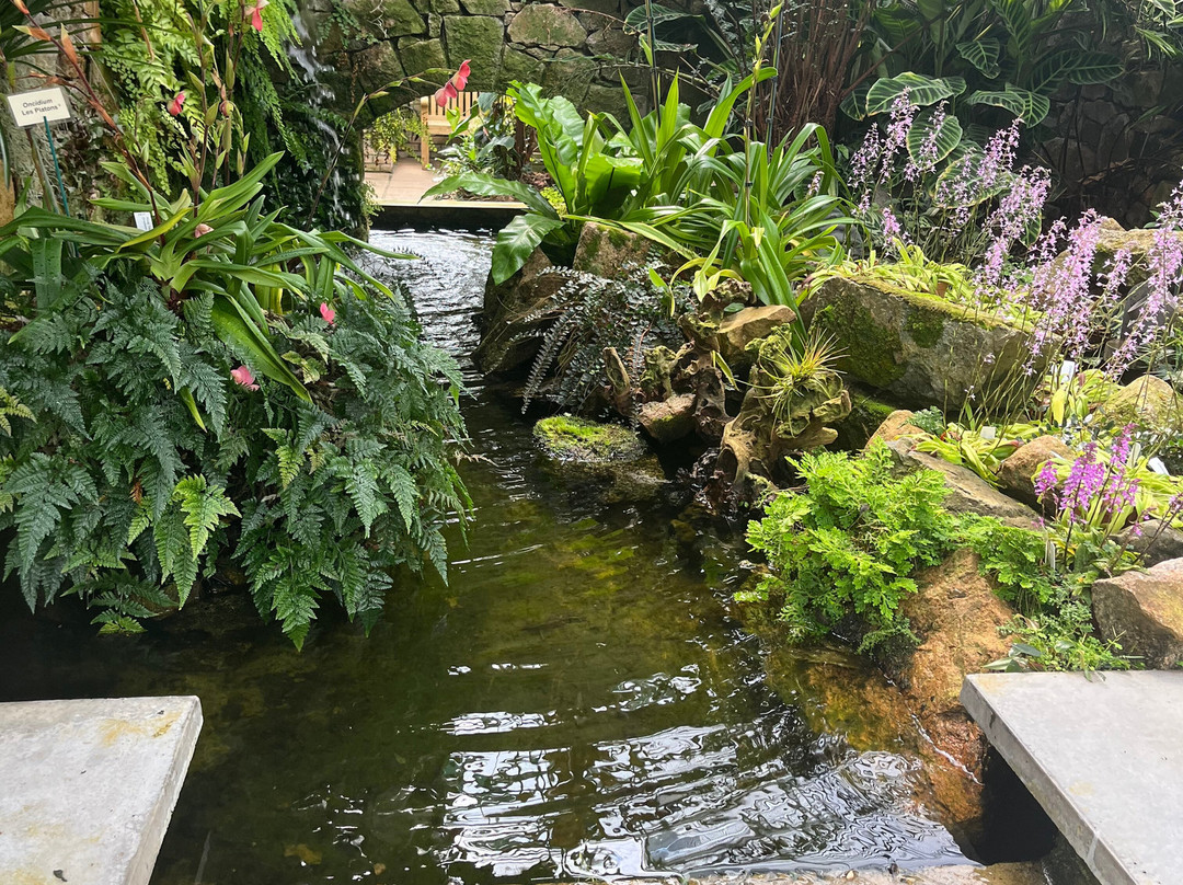 Eric Young Orchid Foundation-Trinity必去景点