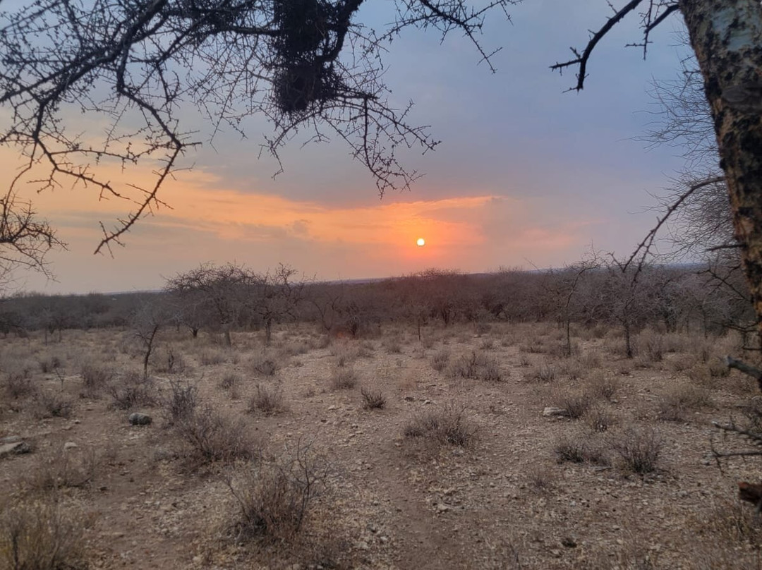 马赛辛巴营度假村主图