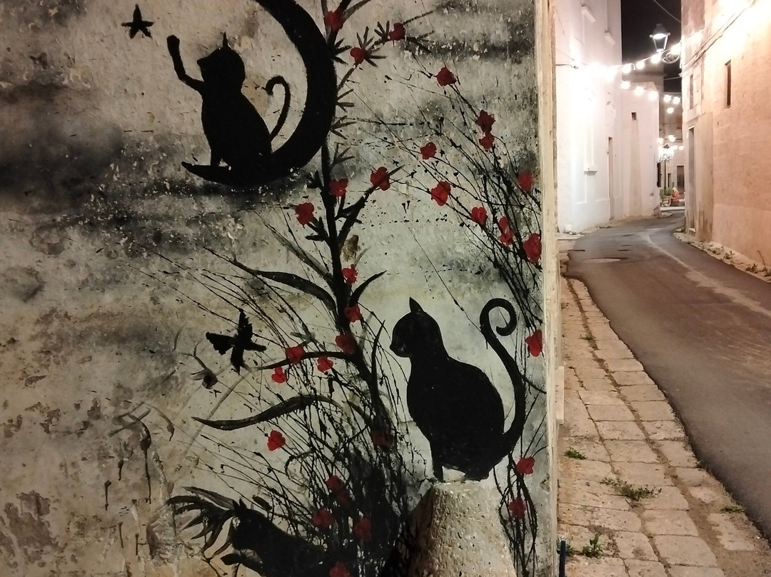 B&B Antica Terrazza主图