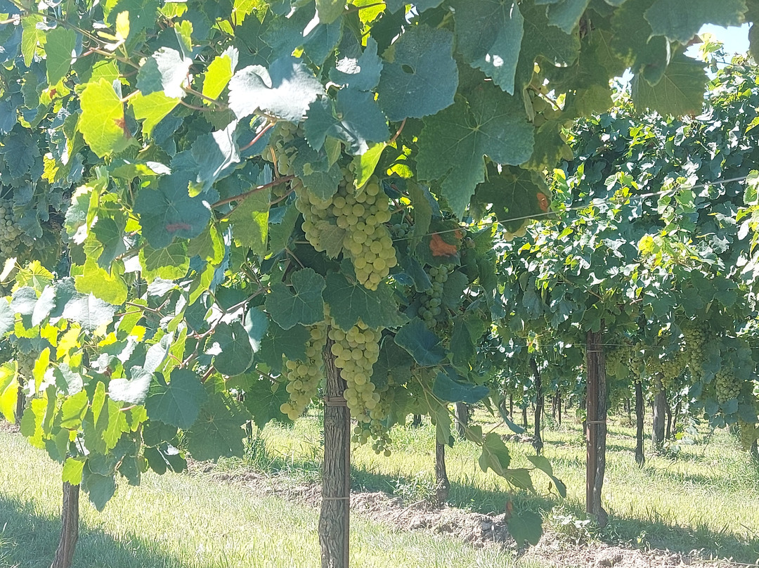 La Frassina-卡奥莱必去景点