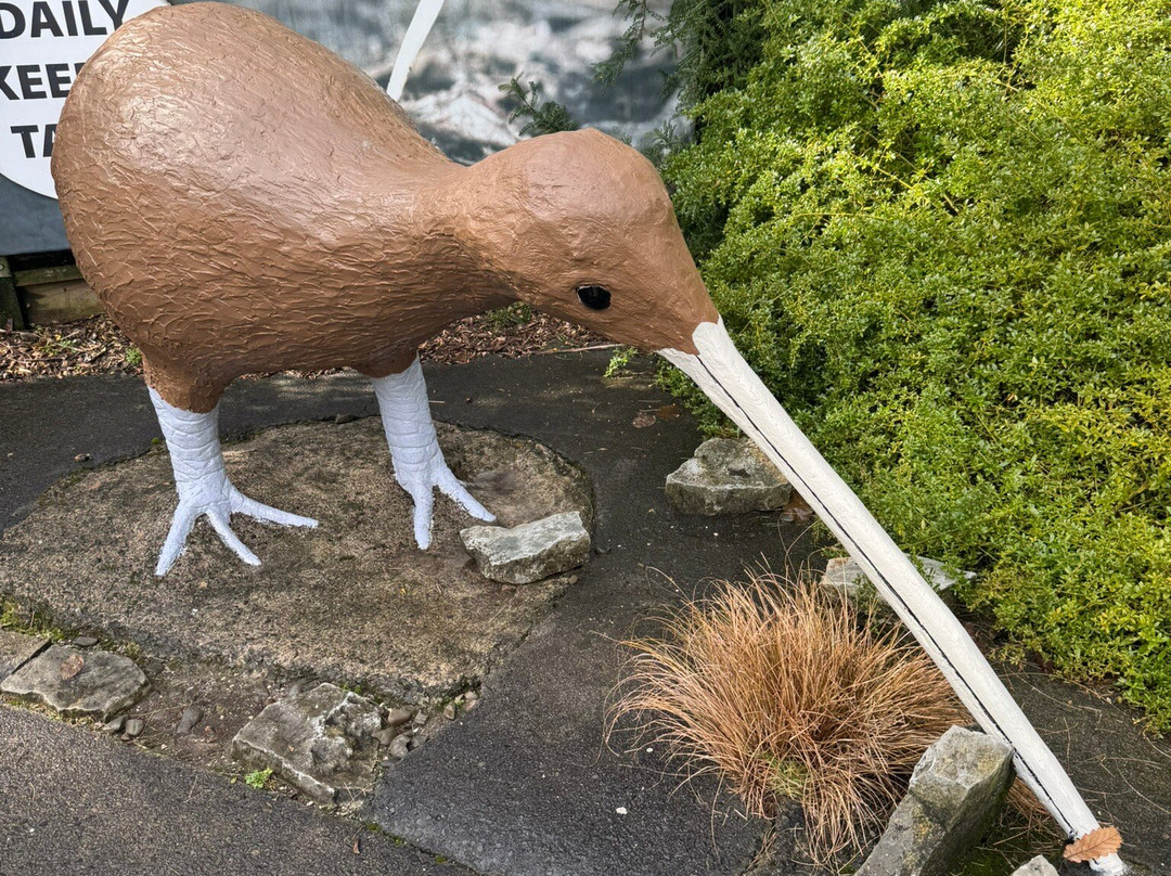 Ōtorohanga Kiwi House-奥托罗杭格必去景点