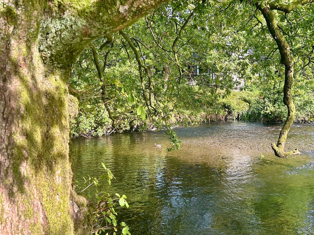 Old Water View主图