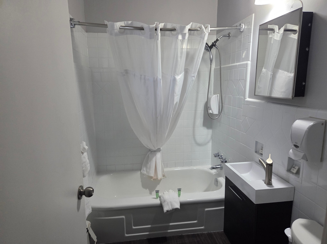 Cadillac Motel Near the Falls主图