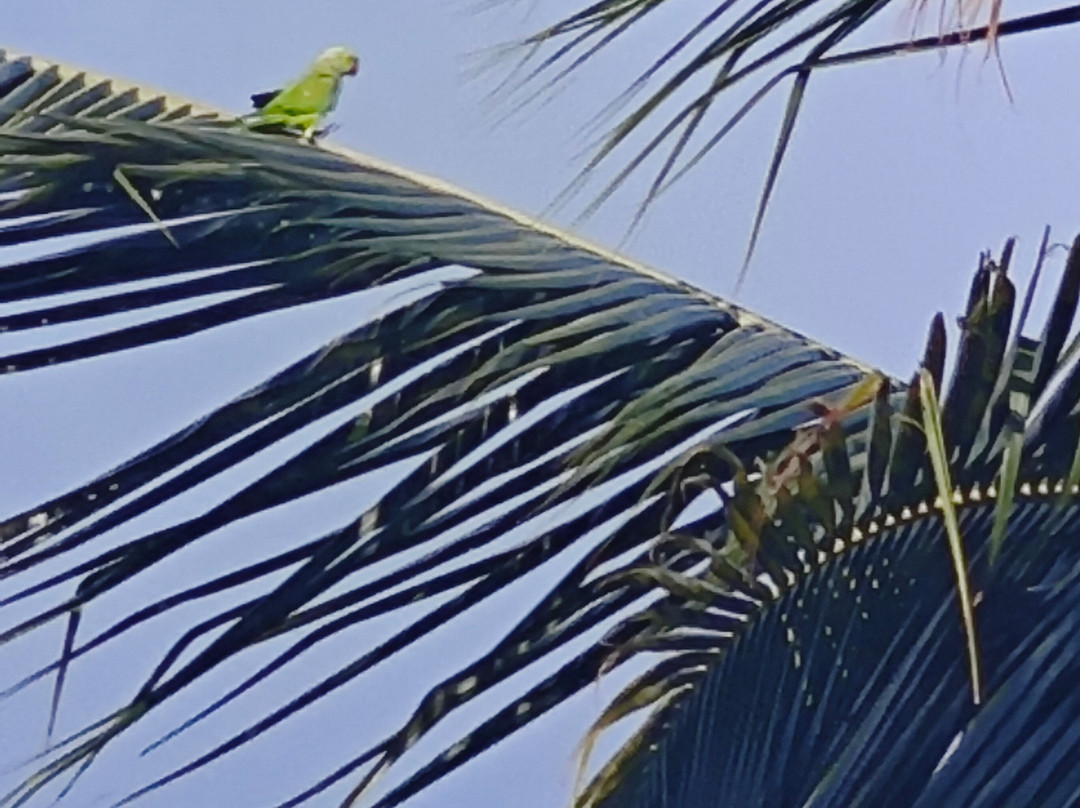 Tira Travels (pvt) Ltd-卡图纳耶克必去景点