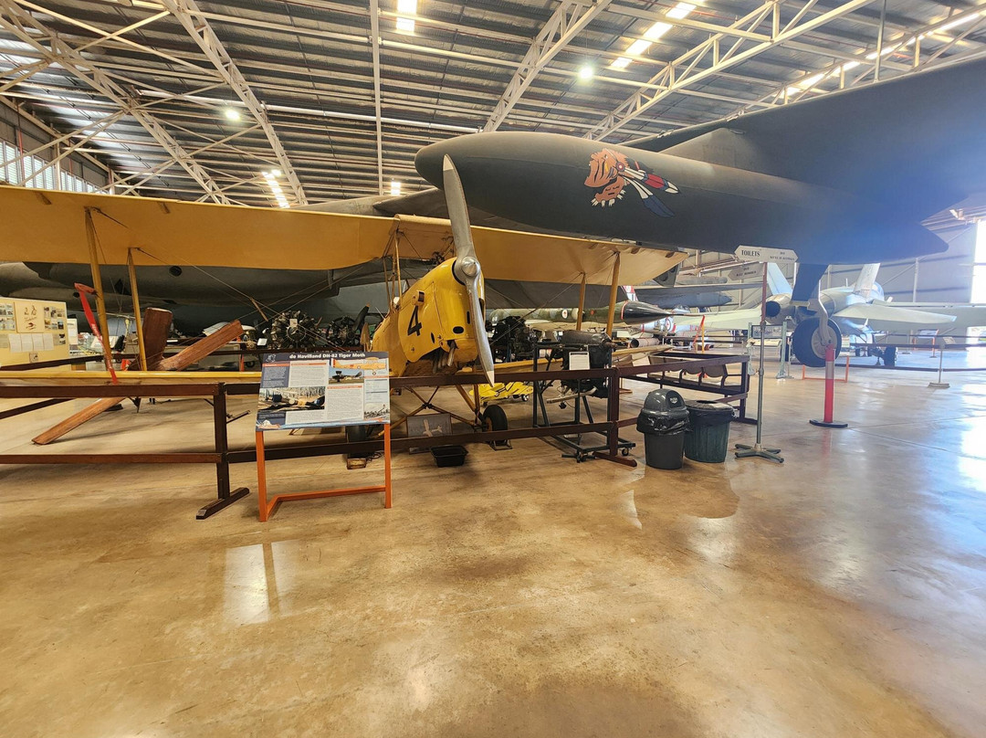 Tour Tub-达尔文市必去景点