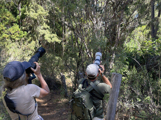 Explore Maui Nature-基黑必去景点