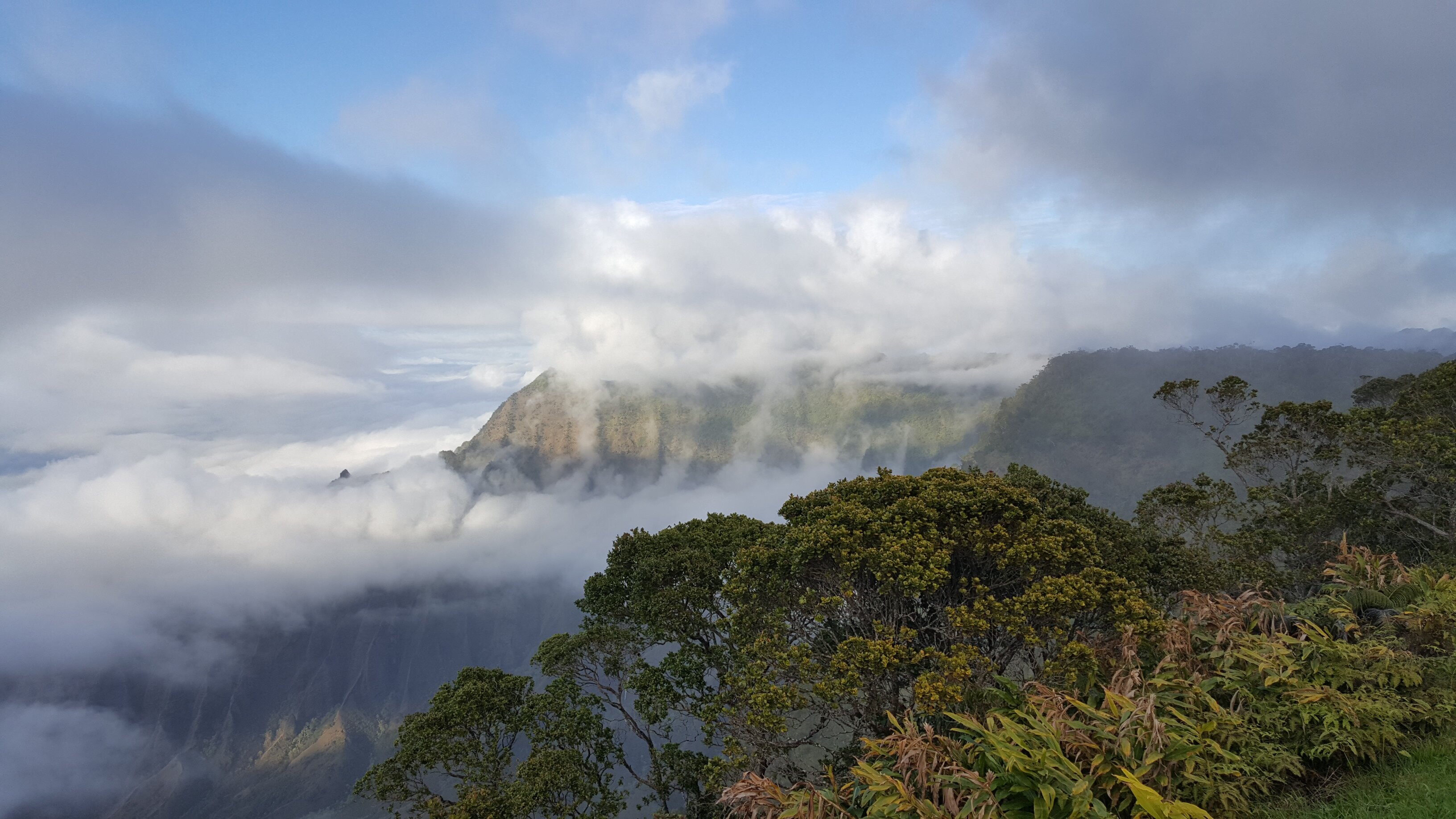The West Inn Kauai-官方