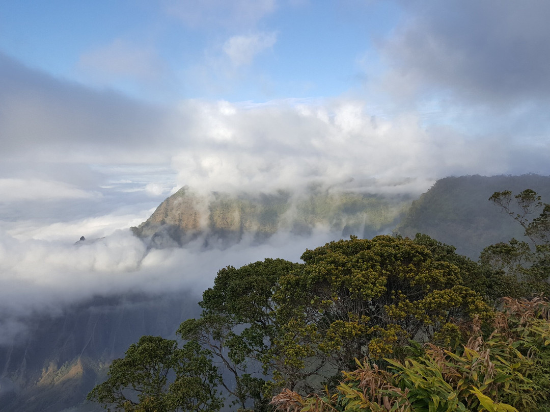 The West Inn Kauai主图