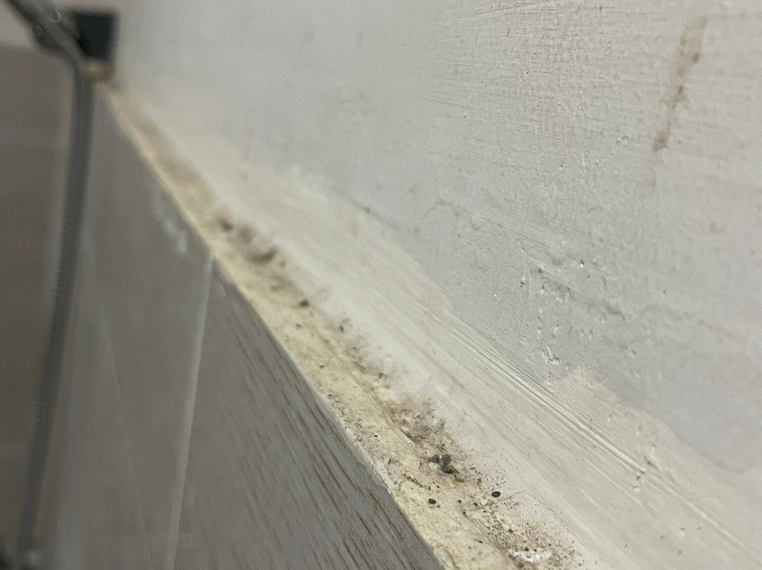 Kuta Lodge Homestay主图