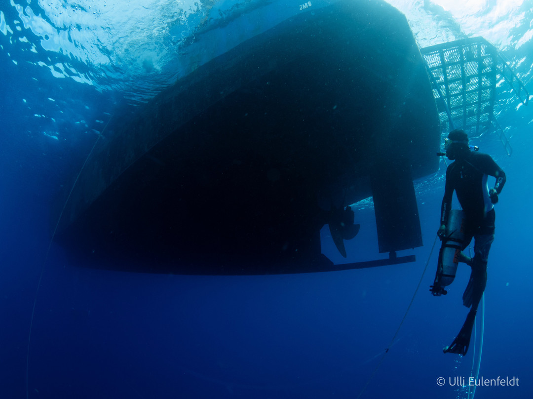 Pacific Master - Master Liveaboards-Chuuk必去景点