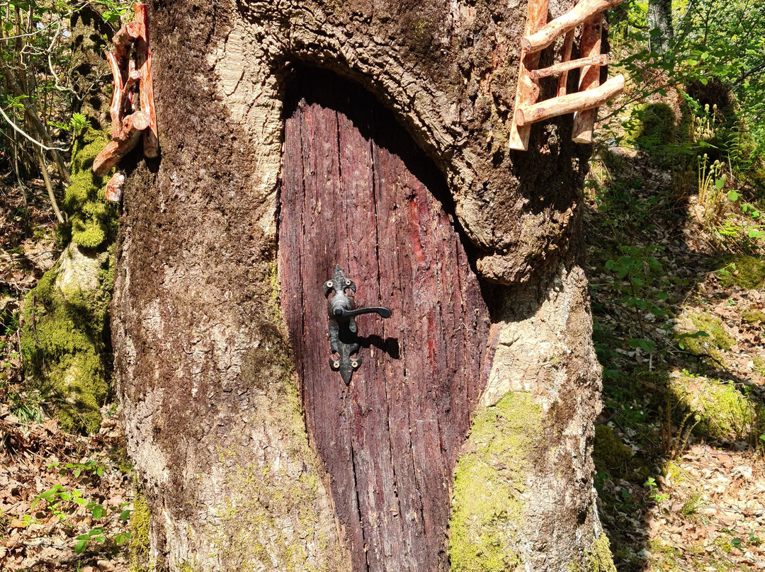 Luss Village Paths-拉斯必去景点