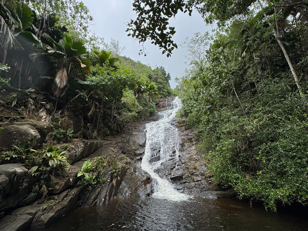 Sauzier Waterfall-Port Glaud必去景点