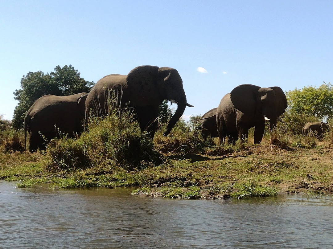 River Horse Safaris-Chirundu必去景点