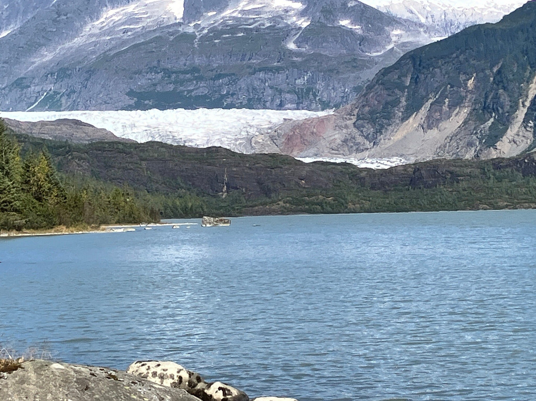 Mendenhall Glacier-朱诺必去景点