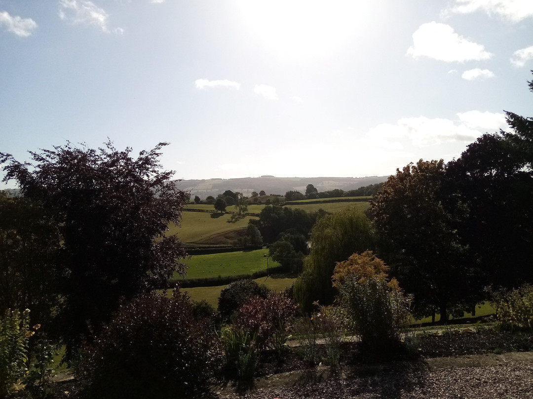 Tynllwyn Farm主图