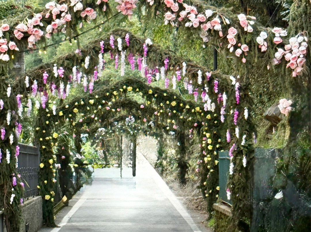 Centro Storico di Monte Isola-蒙泰伊索拉必去景点