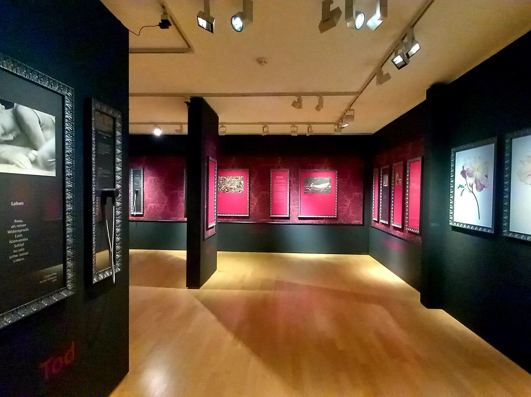 Rosenmuseum Steinfurth-Bad Nauheim必去景点