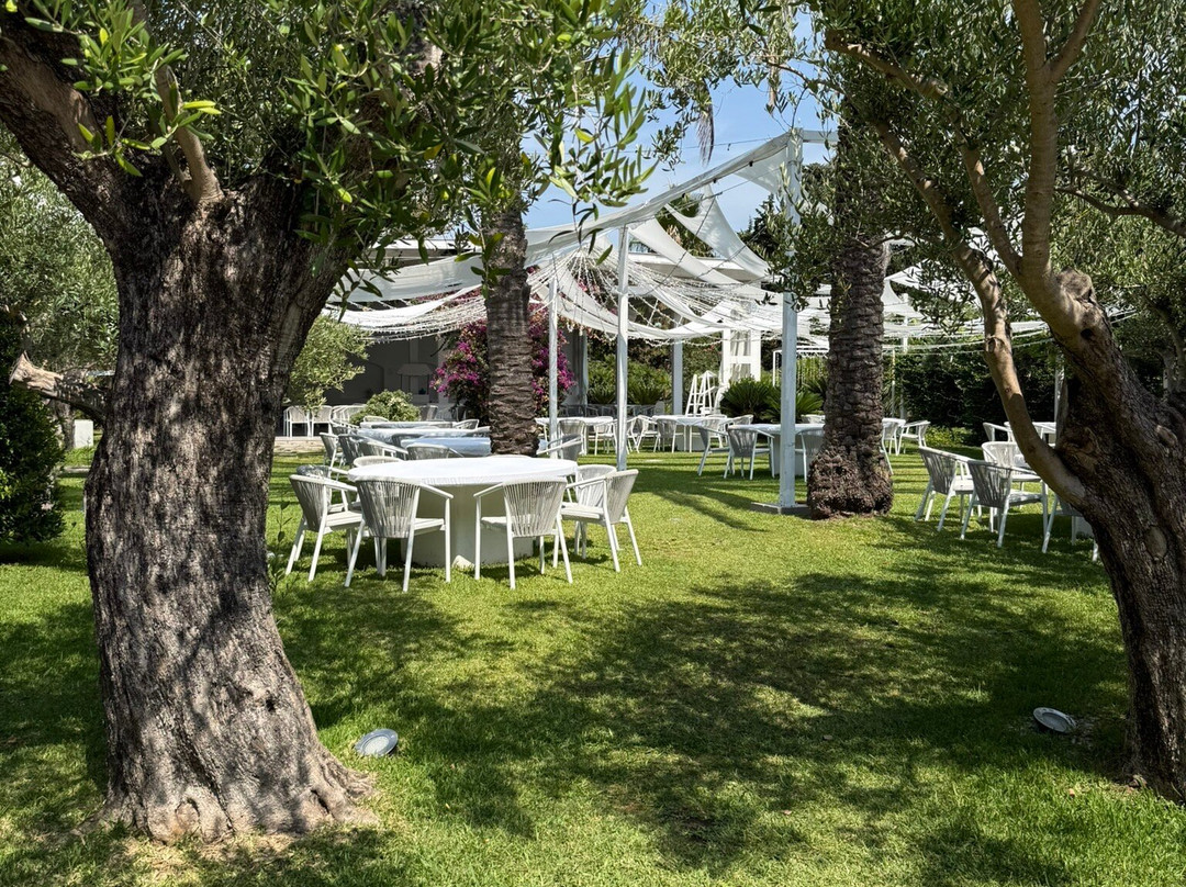 Hotel Meridiana - Paestum主图