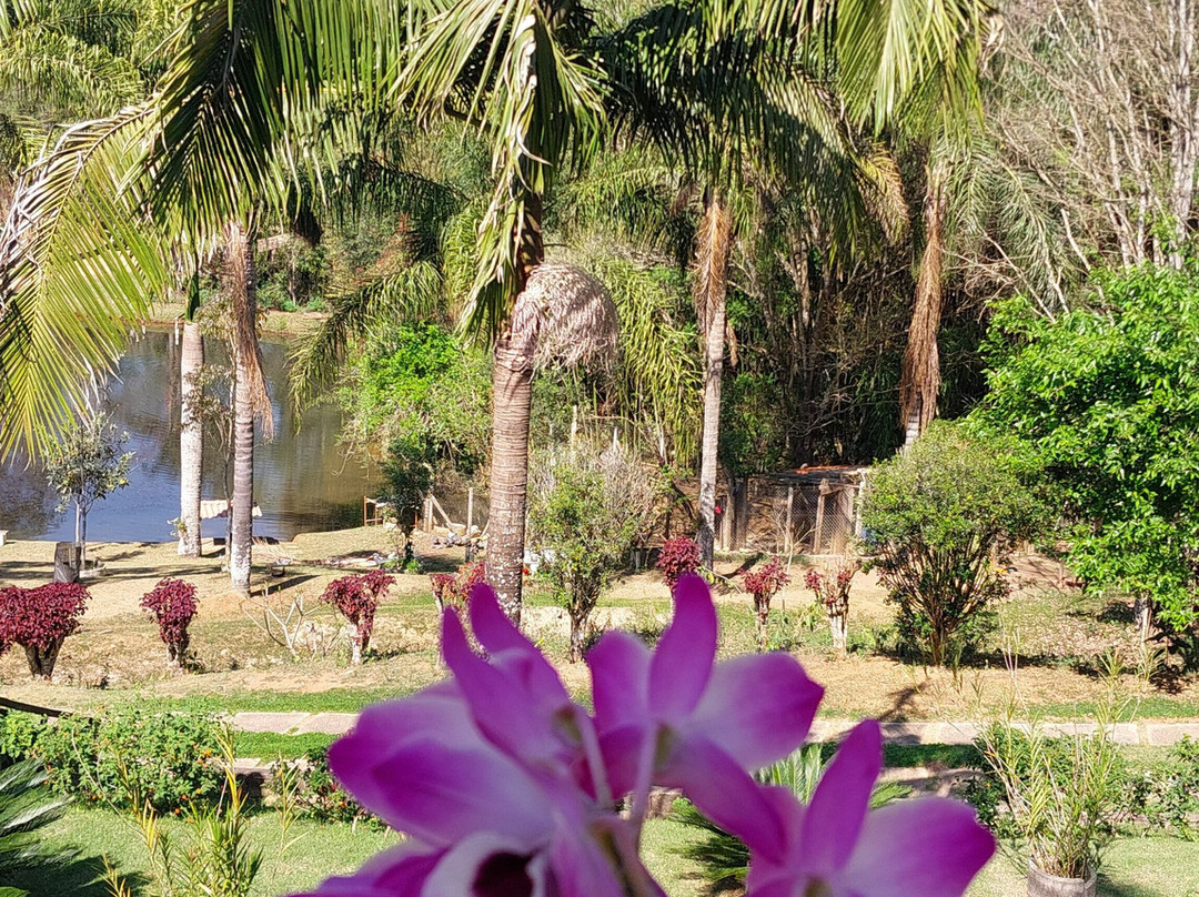 Pousada Cheiro de Mato主图