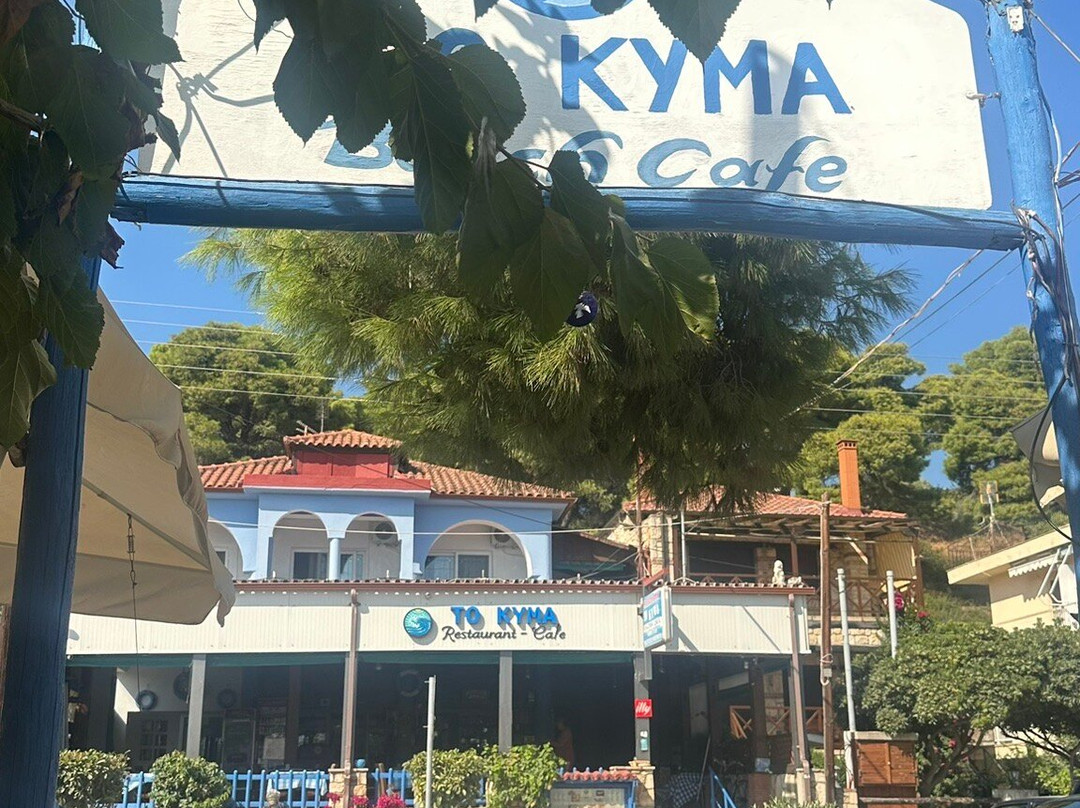 Psakoudia餐馆和美食-TO KYMA Restaurant-café Psakoudia