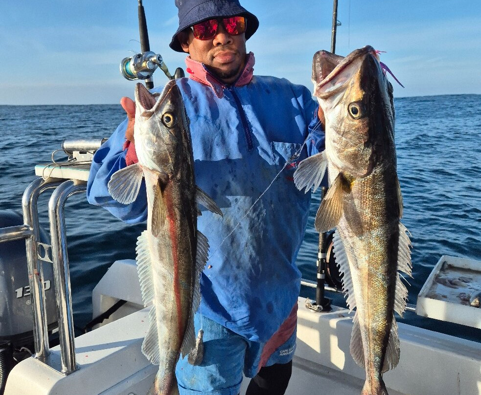 Delarey Charters-圣法兰西斯港必去景点