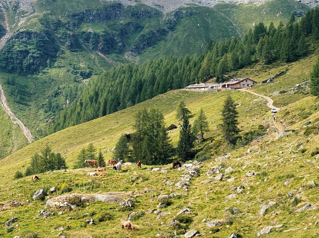 Campo Base Travel & Holiday-Dimaro Folgarida必去景点