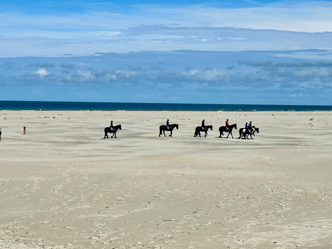 吾普科斯酒店主图