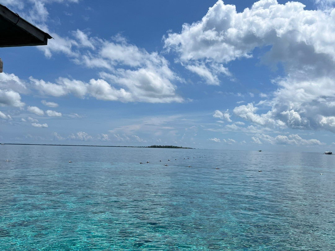 Nalusuan Island Marine Sanctuary-哥多华必去景点