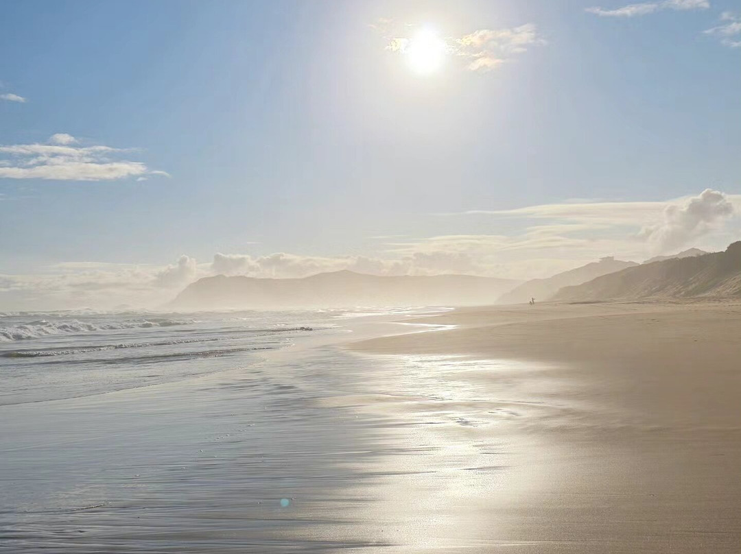 Earthstompers Adventures-开普敦中心区必去景点