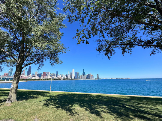 See it All Chicago Tours-芝加哥必去景点