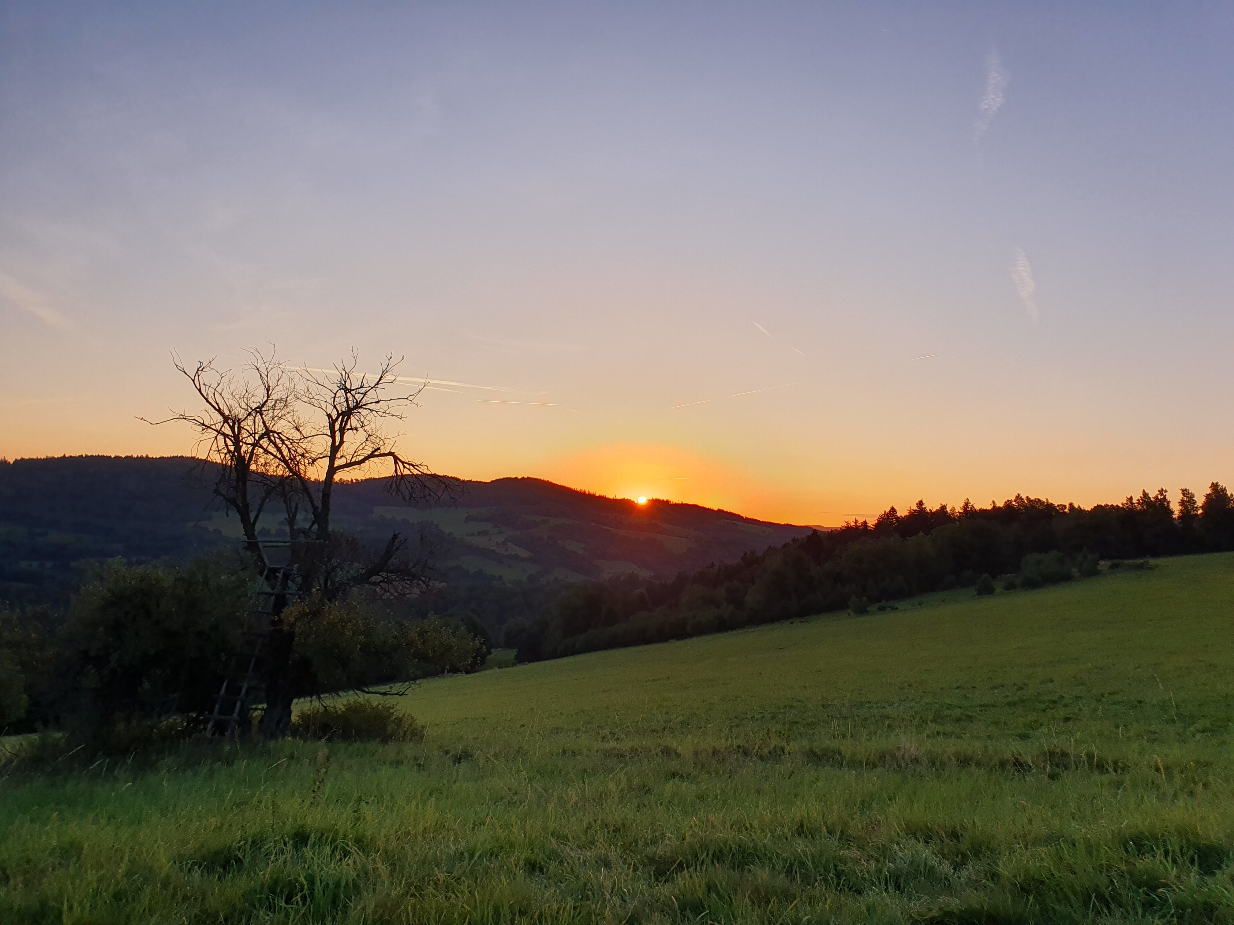 Palac Lubiechowa-官方