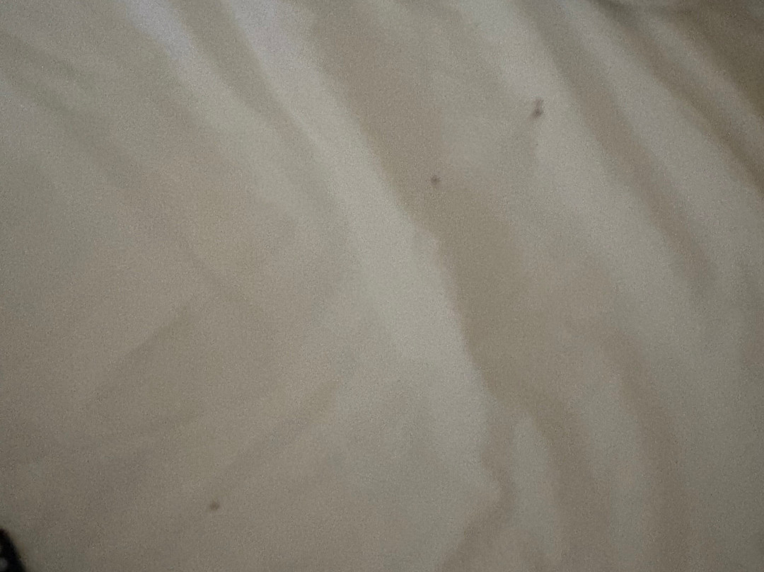 杰克逊希尔顿酒店主图