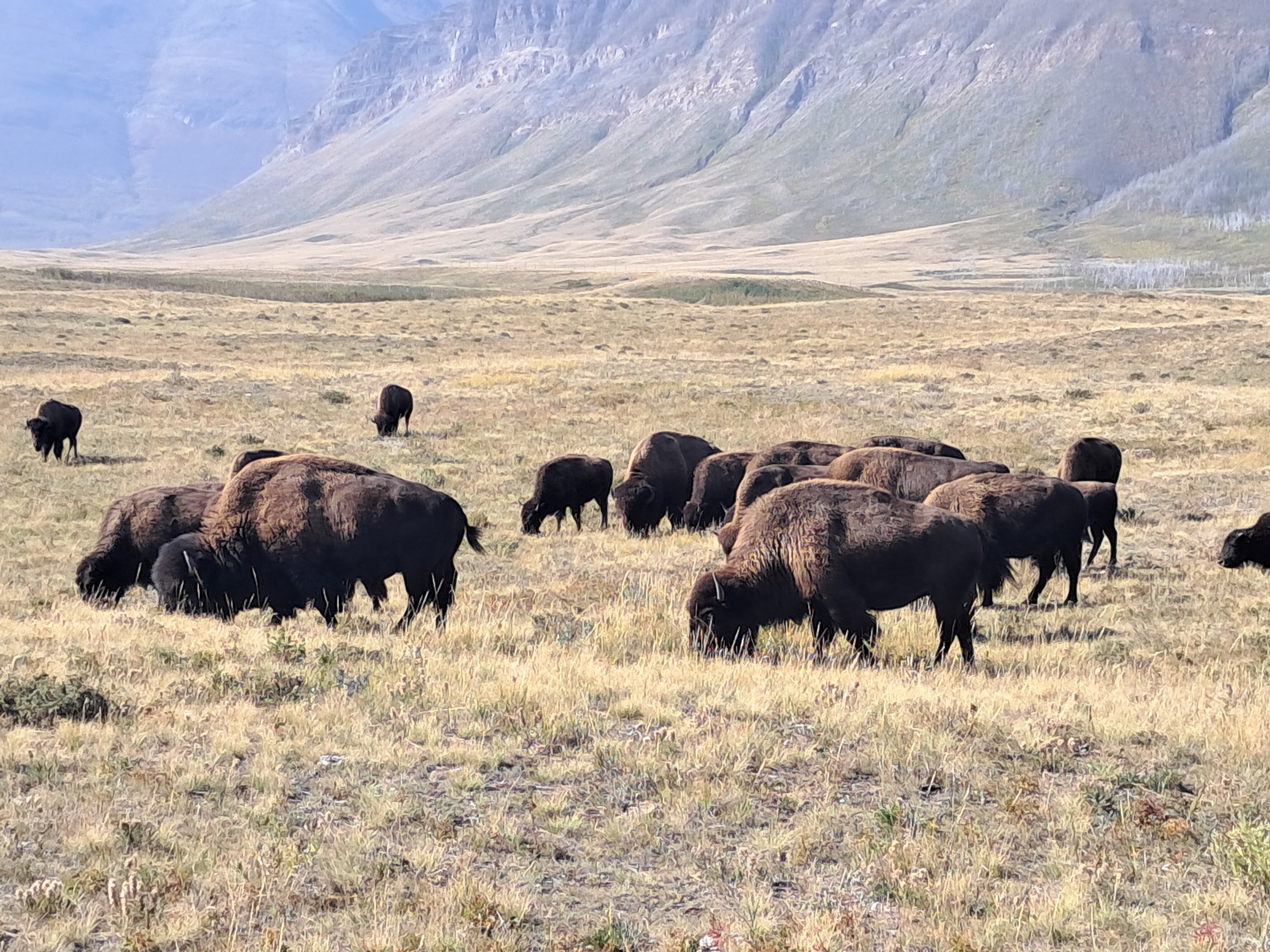 Northland Lodge-官方